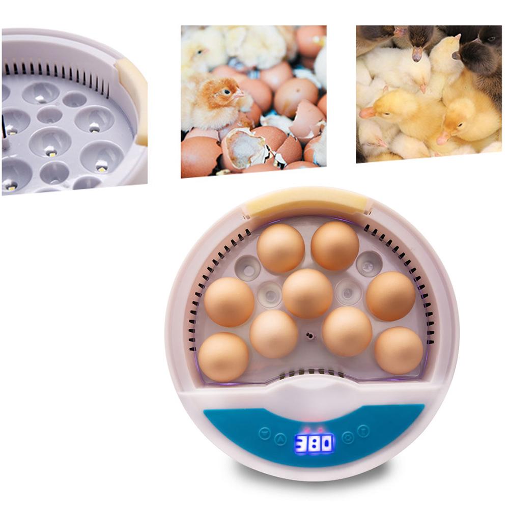 Máy ấp trứng kỹ thuật số đèn led Điều khiển nhiệt độ tự động bằng nhựa BBS,ấp được 9 quả