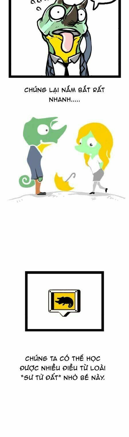 earth, human, and animal chapter 19 25