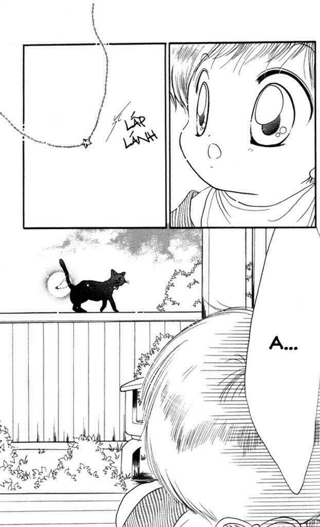 daa! daa! daa! chapter 14 5