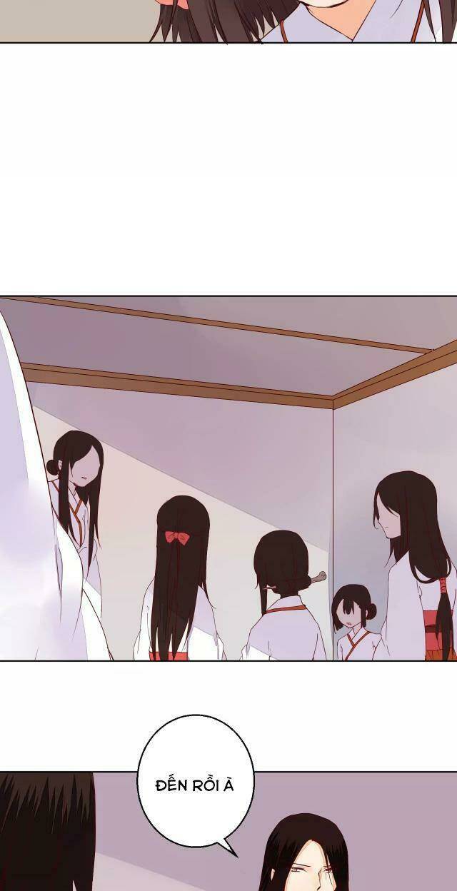 đốt đào hoa chapter 65 4