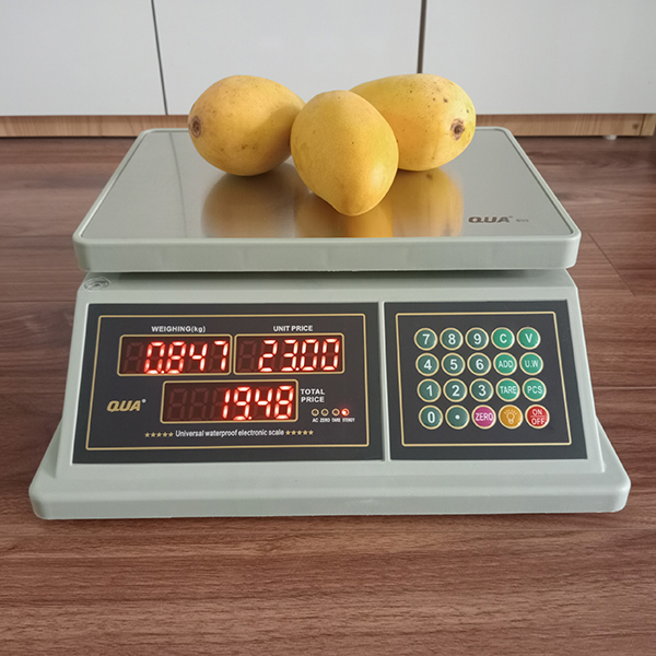 Cân Điện Tử Chống Nước Tuyệt Đối Qua 832