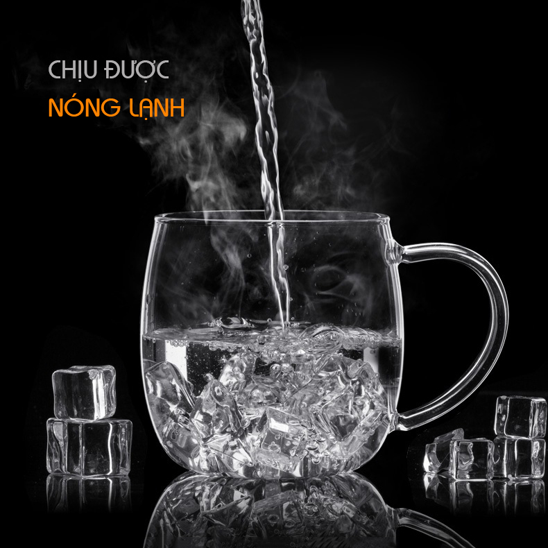 Ly lọc trà thủy tinh chịu nhiệt lõi thủy tinh nắp gỗ S027A 380ml