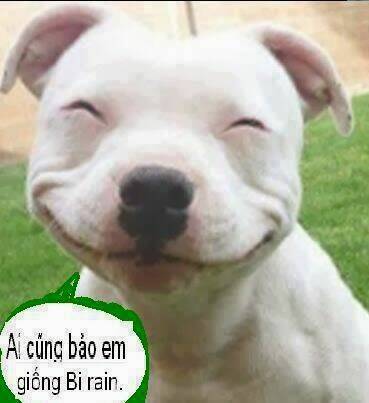 hình ảnh hài hước new chapter 27 24