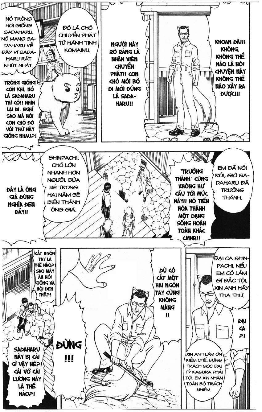 gintama - linh hồn bạc chapter 324 11