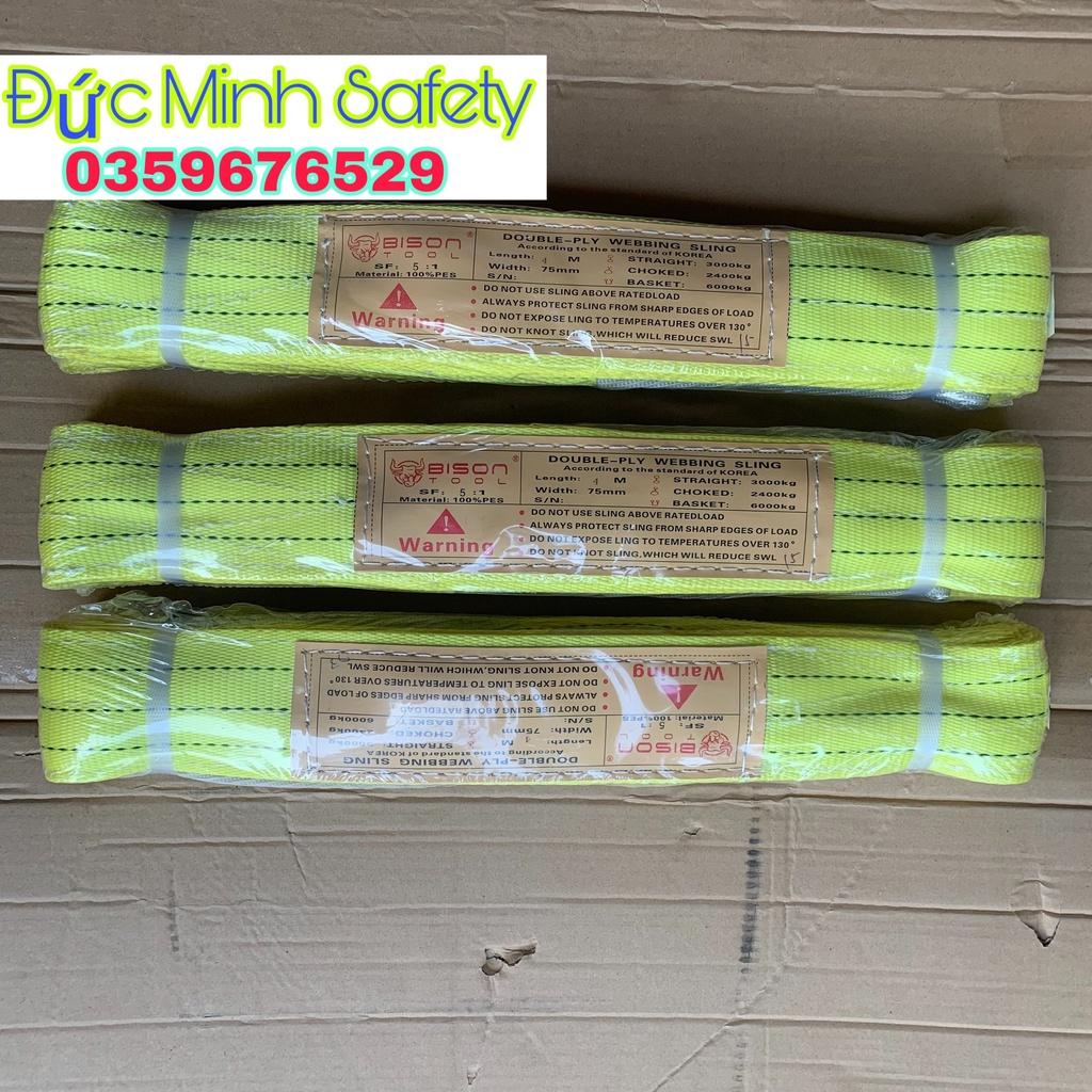 Dây đai cảu hàng dây cáp vải cẩu hàng 3 tấn 6 mét