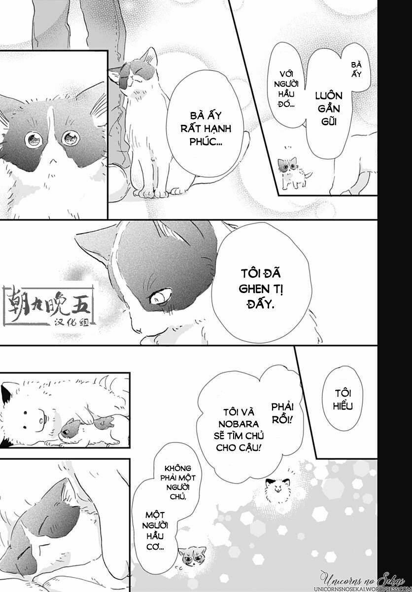 kimi to wonderland chapter 5 25