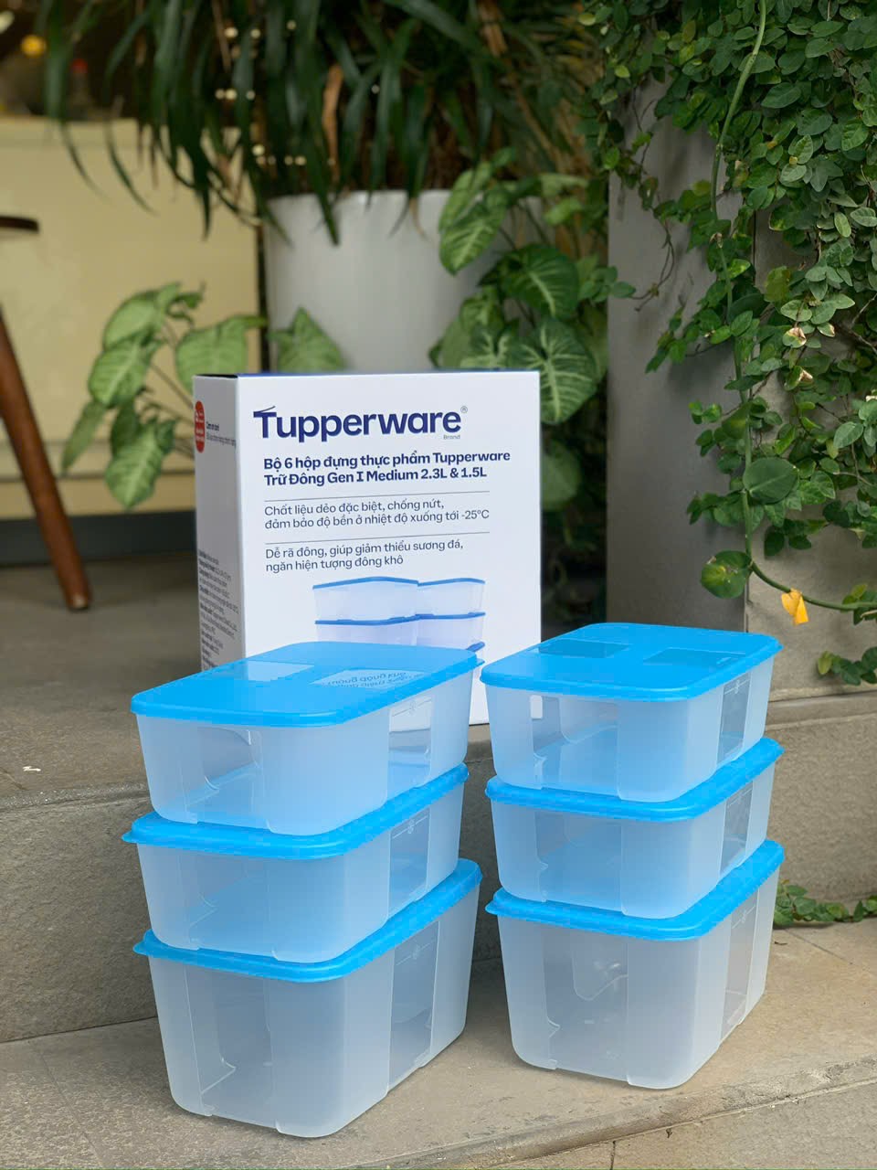 Bộ Hộp Đựng Thực Phẩm Tupperware Trữ Đông Gen I Medium 2.3L &amp; 1.5L