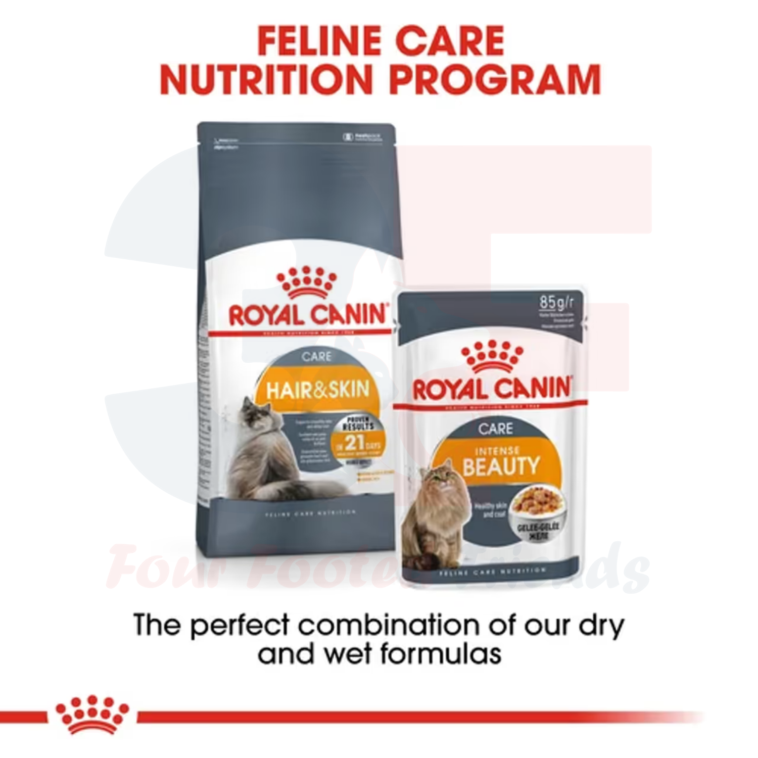 Thức Ăn Chăm Sóc Da Lông Dành Cho Mèo Royal Canin Hair Skin