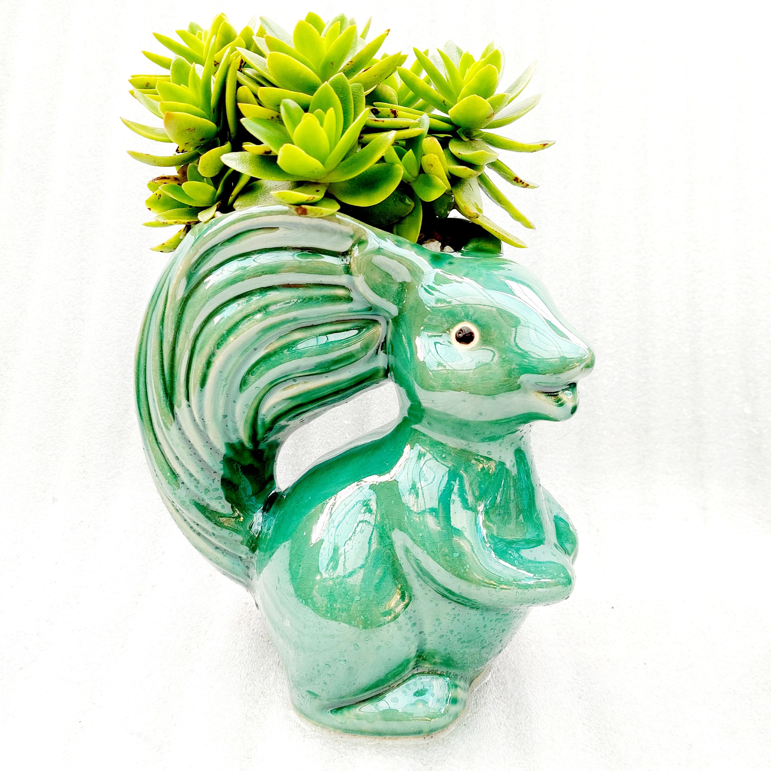 Chậu men - Sóc tinh nghịch, miệng chậu , chiều cao 20cm