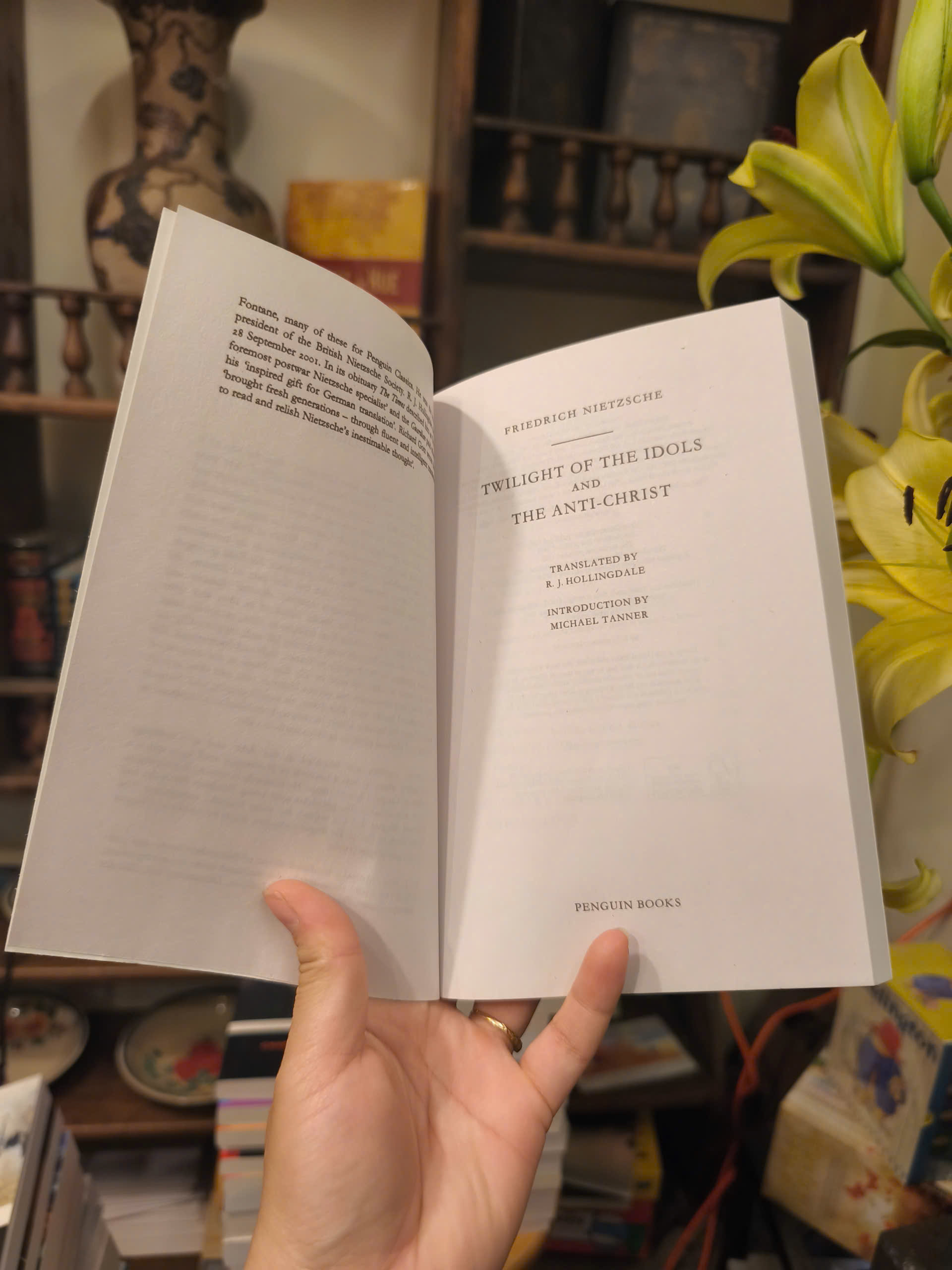 Sách - Twilight of the Idols &amp; The Anti-Christ by Friedrich Nietzsche | Philosophy / Ngoại văn