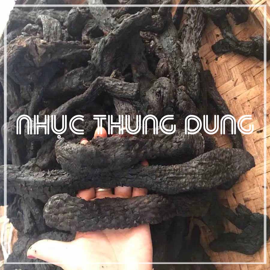 Combo 8 loại đồ ngâm r.ượu tăng cường s.inh lý cực mạnh, bổ thận tráng dương