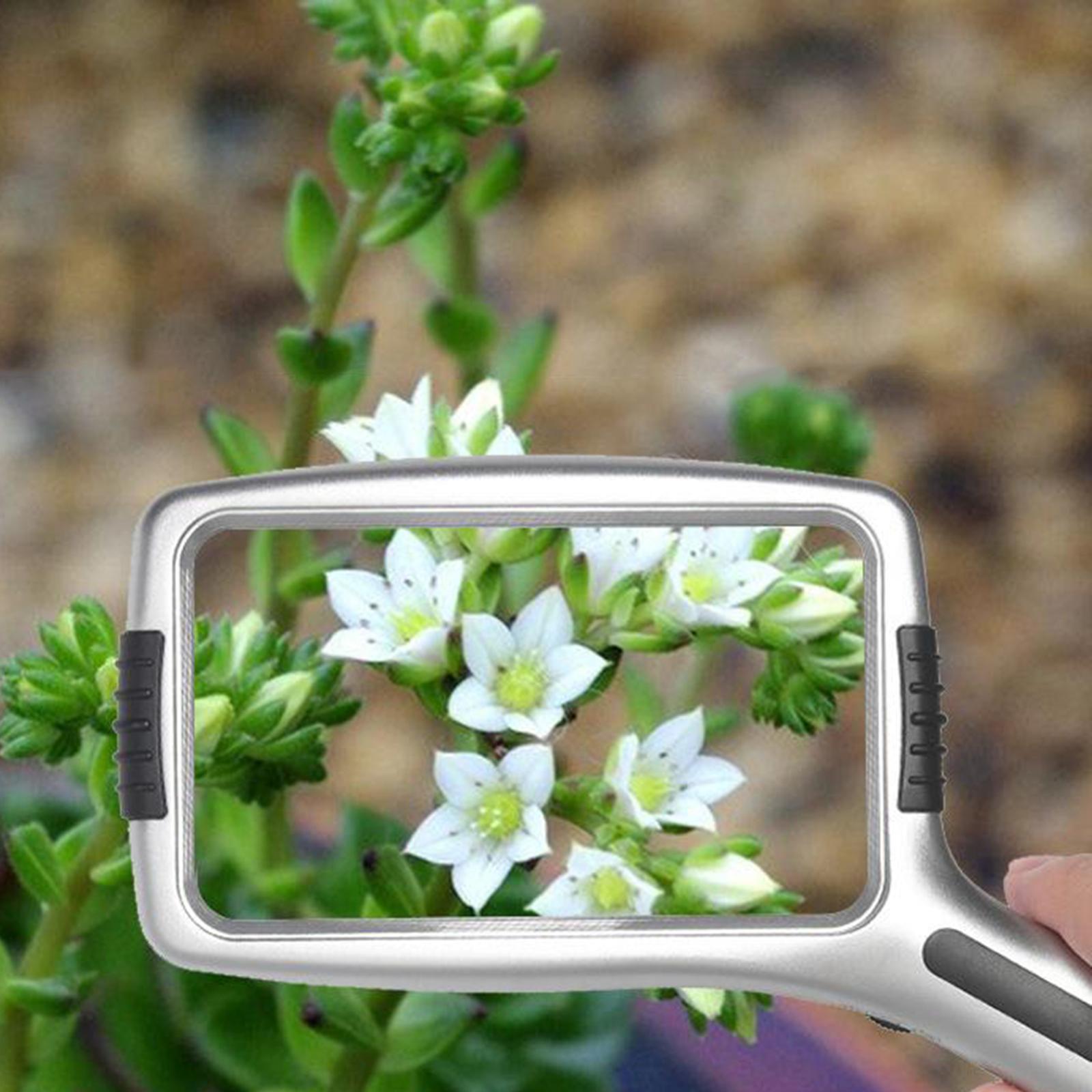 Hand Held Magnifying Glass & 10x LED Lamp Beads for Seniors Reading Repair