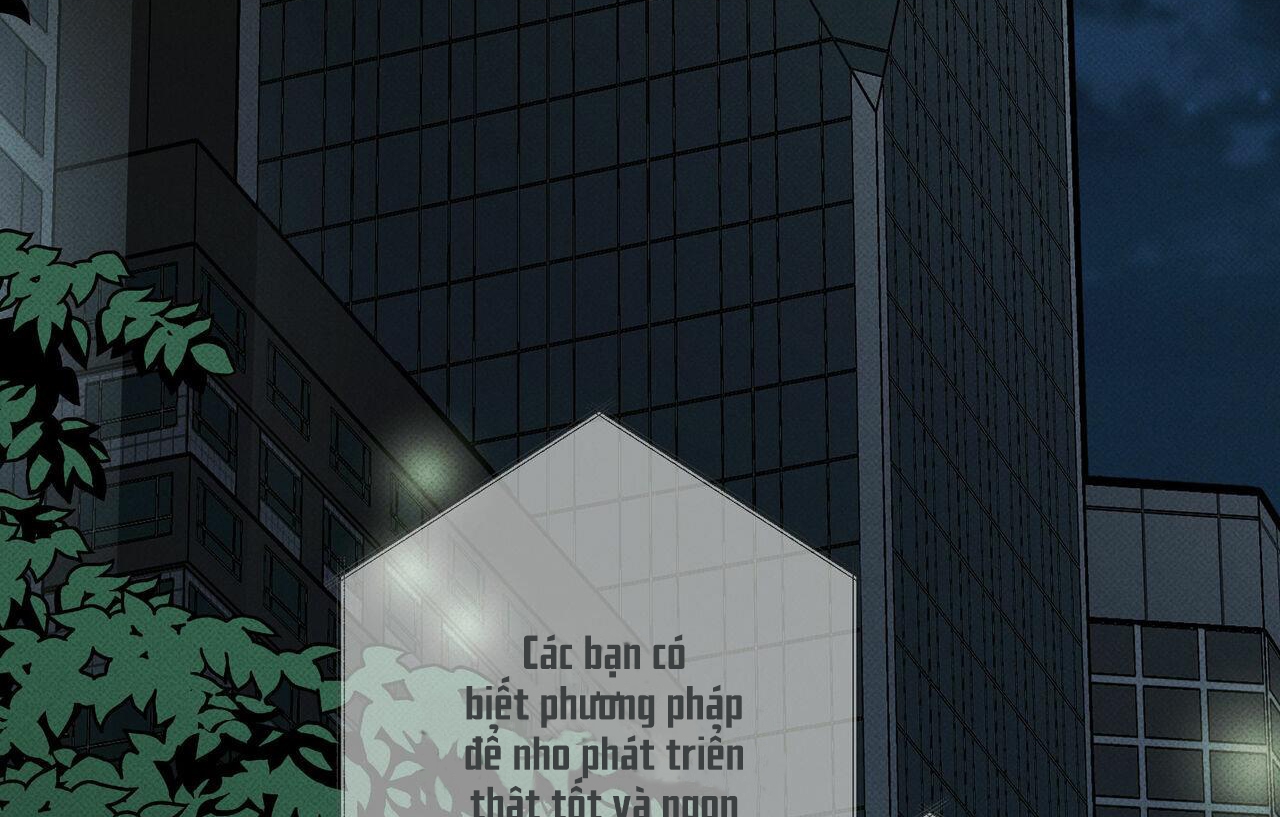 chàng giao pizza và gold palace chapter 30 36