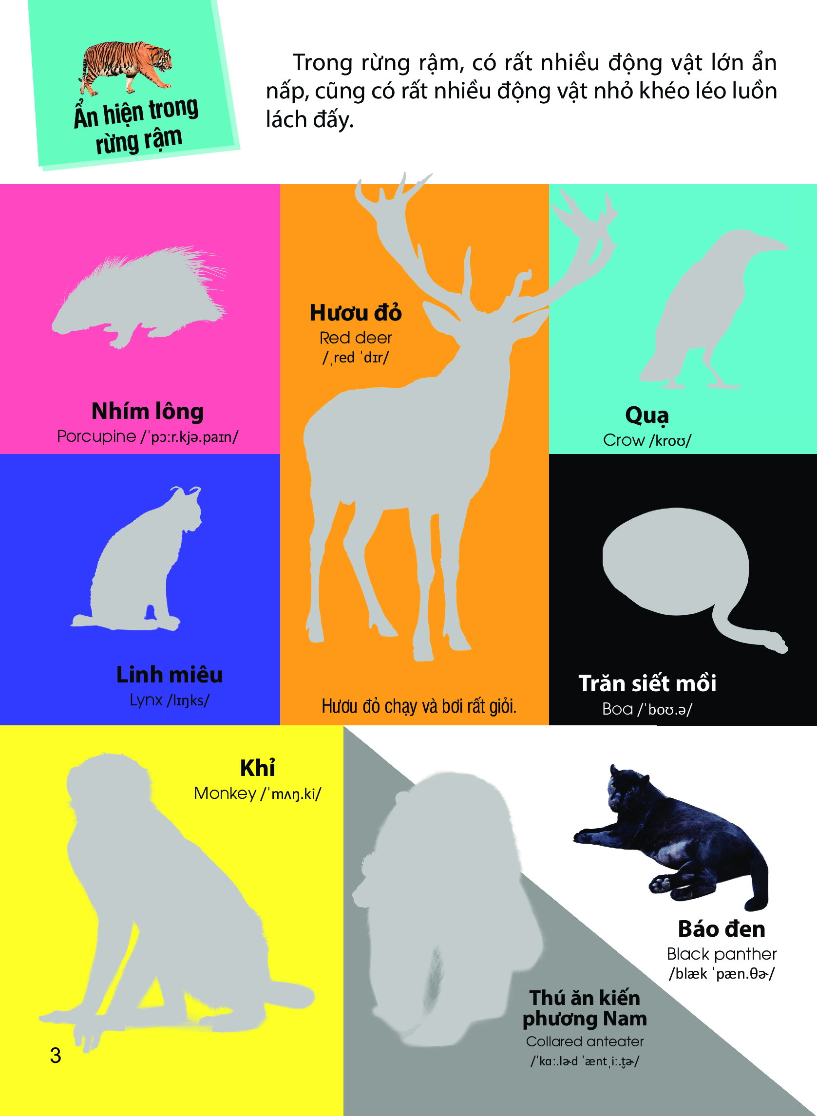 Dán Hình Nhận Biết Động Vật - Động Vật Hoang Dã _DTI