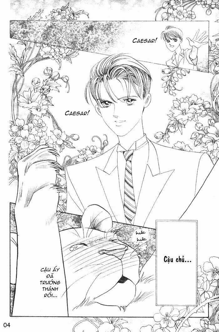 wild cats chapter 1 7