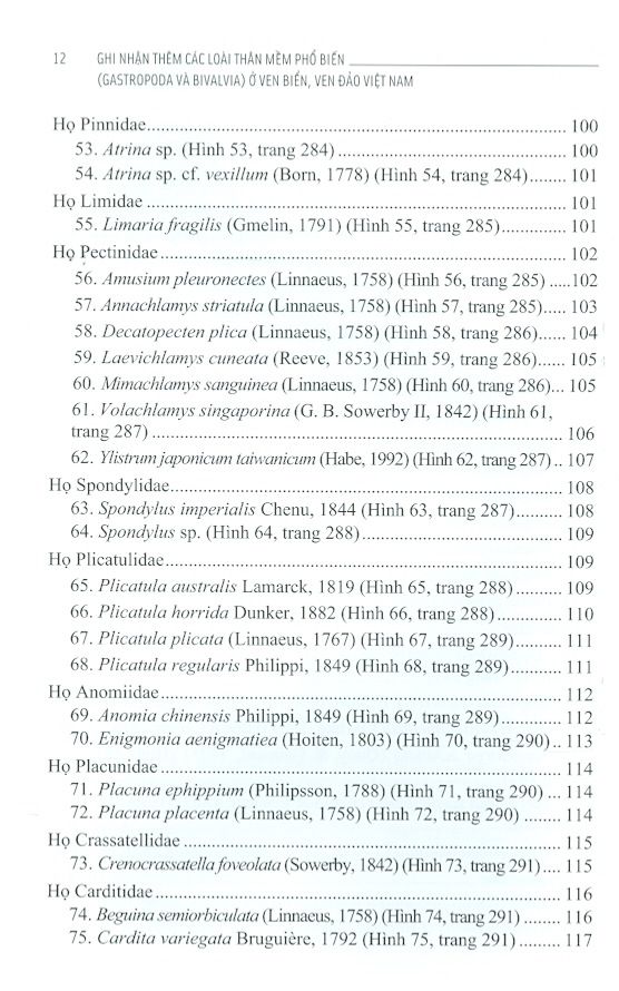 Ghi Nhận Thêm Các Loài Thân Mềm Phổ Biến (Gastropoda Và Bivalvia) Ở Ven Biển, Ven Đảo Việt Nam (Bìa Cứng)