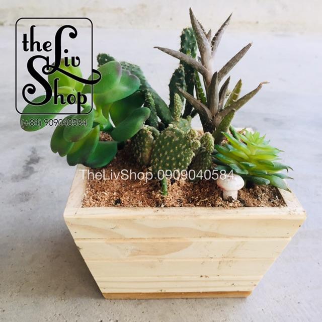 Chậu cây bằng gỗ thông 3 sizes