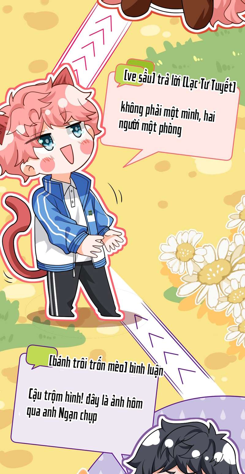 tín tức tố nói chúng ta không thể chapter 75 32