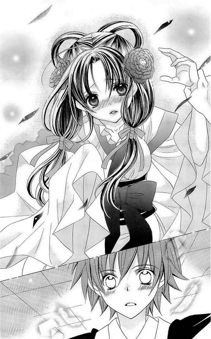 suki desu suzuki-kun!! chapter 43 15