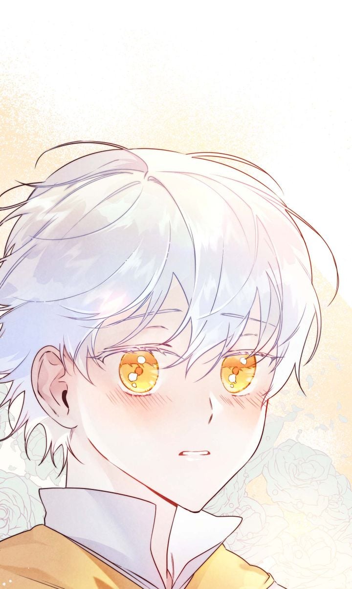 ánh hào quang của bình minh chapter 0 11