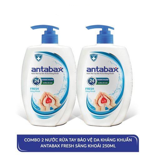 Combo 2 Nước Rửa Tay Bảo Vệ Da Kháng Khuẩn Antabax Fresh Sảng Khoái 250ml