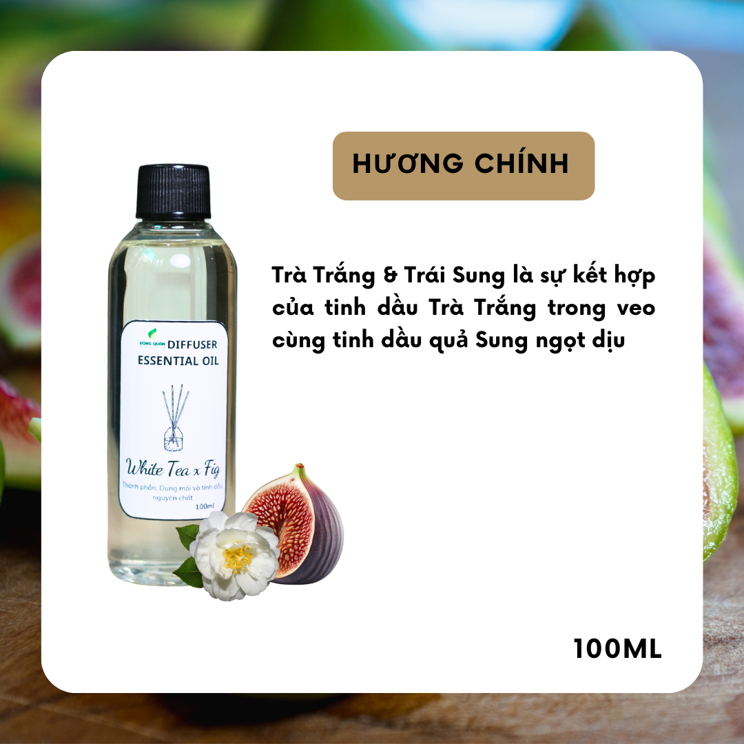 Chai Refill tinh dầu tán hương WHITE TEA &amp; FIG (Trà Trắng &amp; Trái Sung) 100ml, thơm phòng, tỏa hương, tíết kiệm.