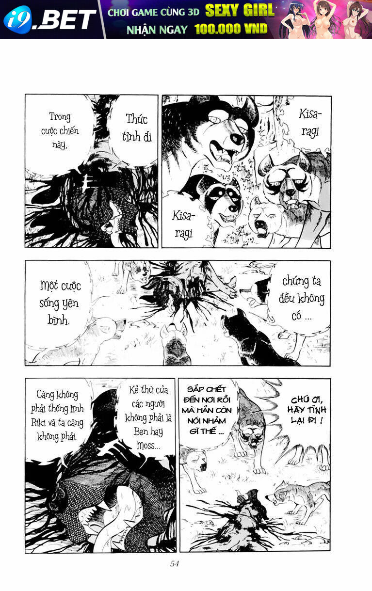 chú chó có nghĩa - ginga nagareboshi gin chapter 32 8