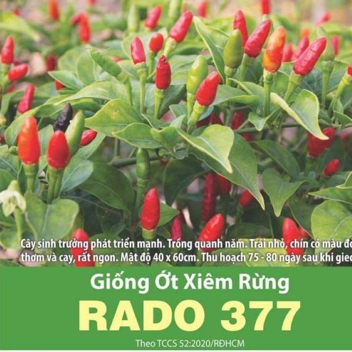 Giống ớt xiêm rừng Rd