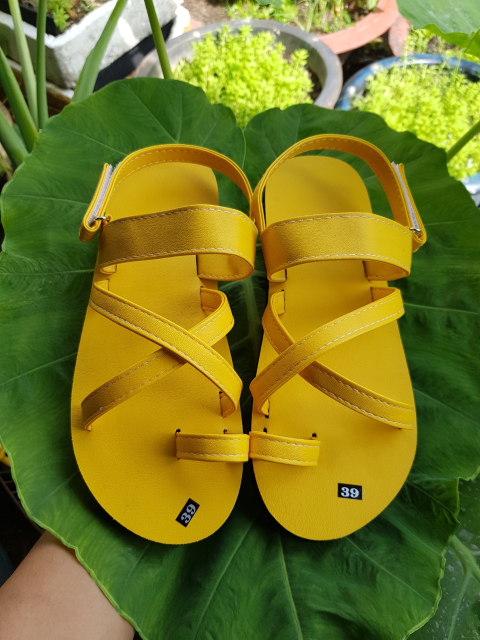 Sandanl nữ  size từ 35 nữ đến 40 nữ size khác ib chọn thêm