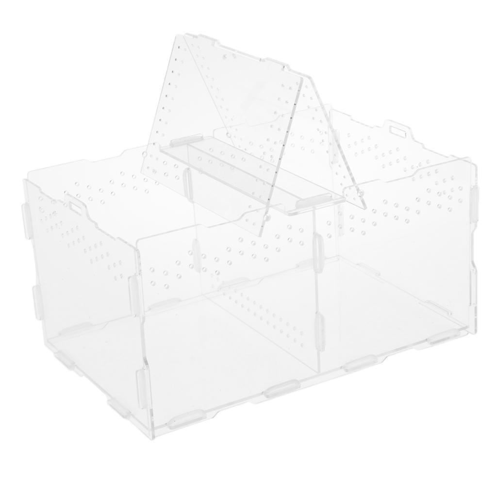 Acrylic Feeding Container Breeding Box An Room for Reptile