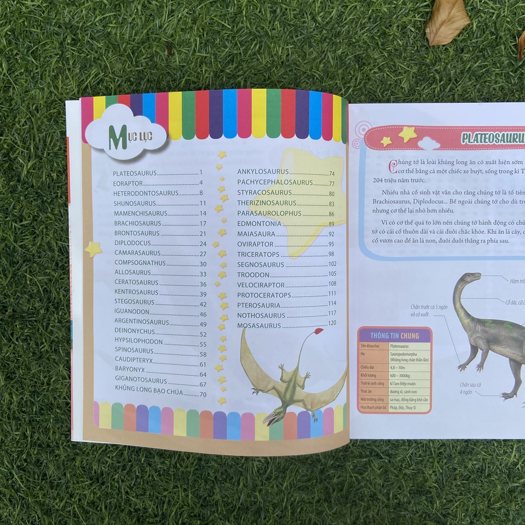 Sách- Bách Khoa Động Vật Dành Cho Trẻ Nhỏ - Khủng Long