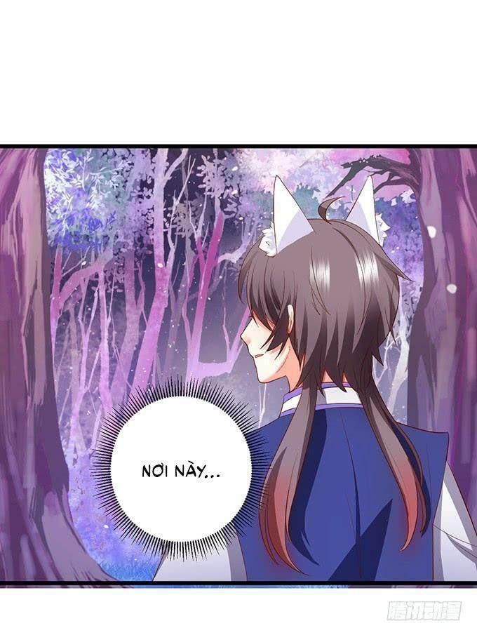 hồ tiên hung bạo chapter 77 4