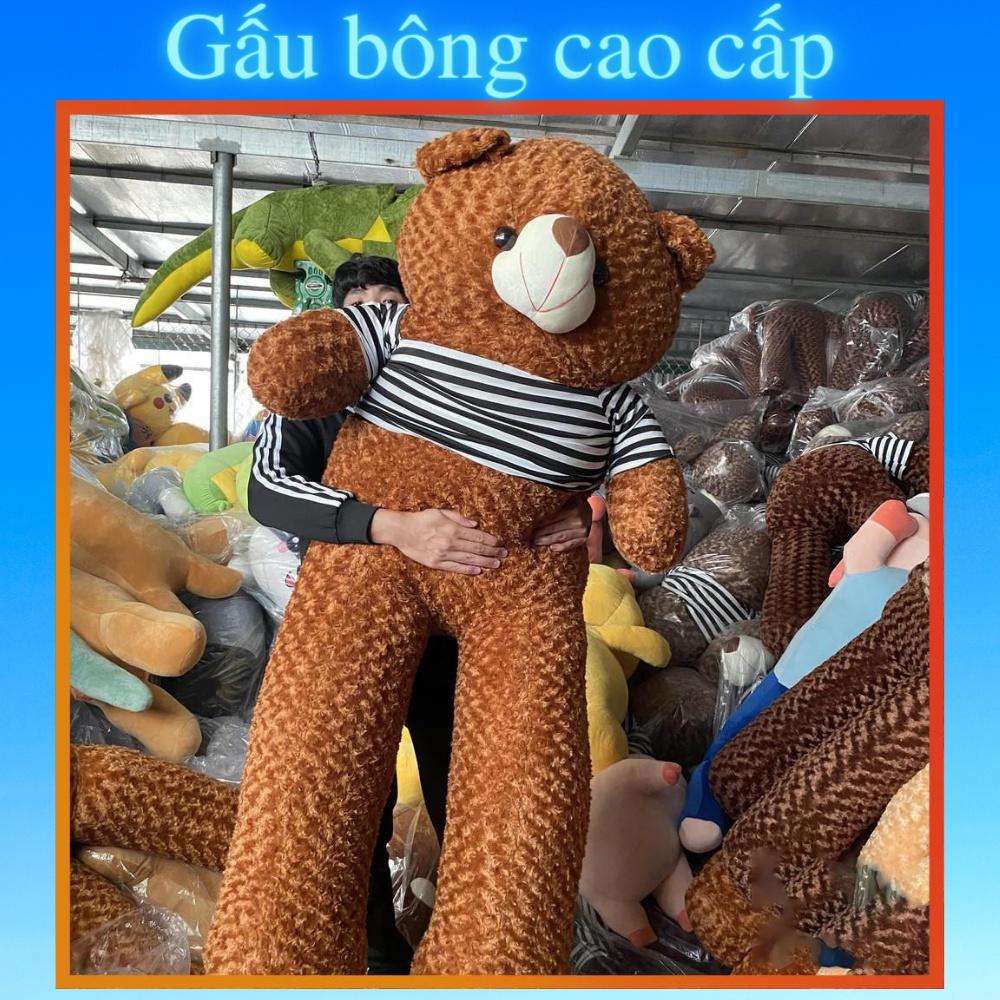Gấu bông Teddy ̀ ̂́, gối ôm hình thú nhồi bông siêu to khổng lồ