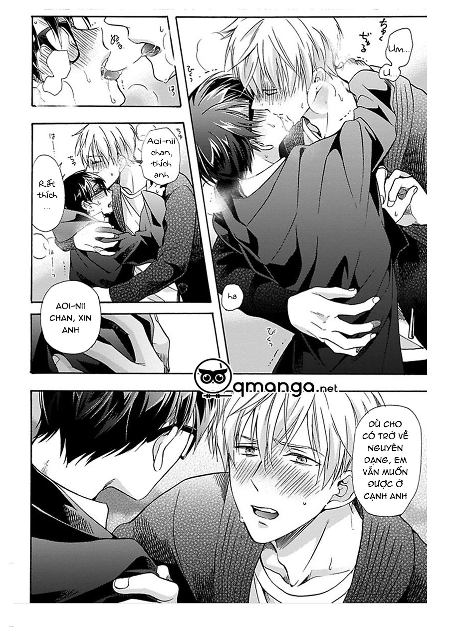 chờ em yêu anh chapter 4 26