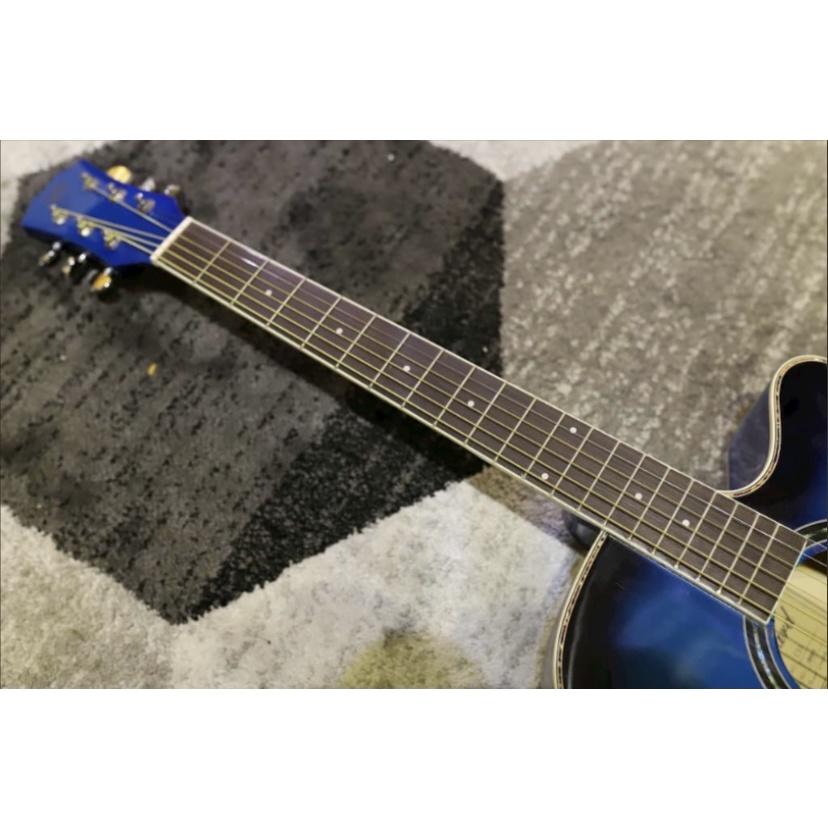 Đàn Guitar Acoustic Chard C51 | Chính hãng