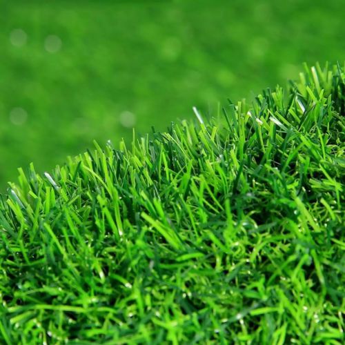 Tấm cỏ nhựa nhân tạo dày, cao cấp 1m x 0,5m