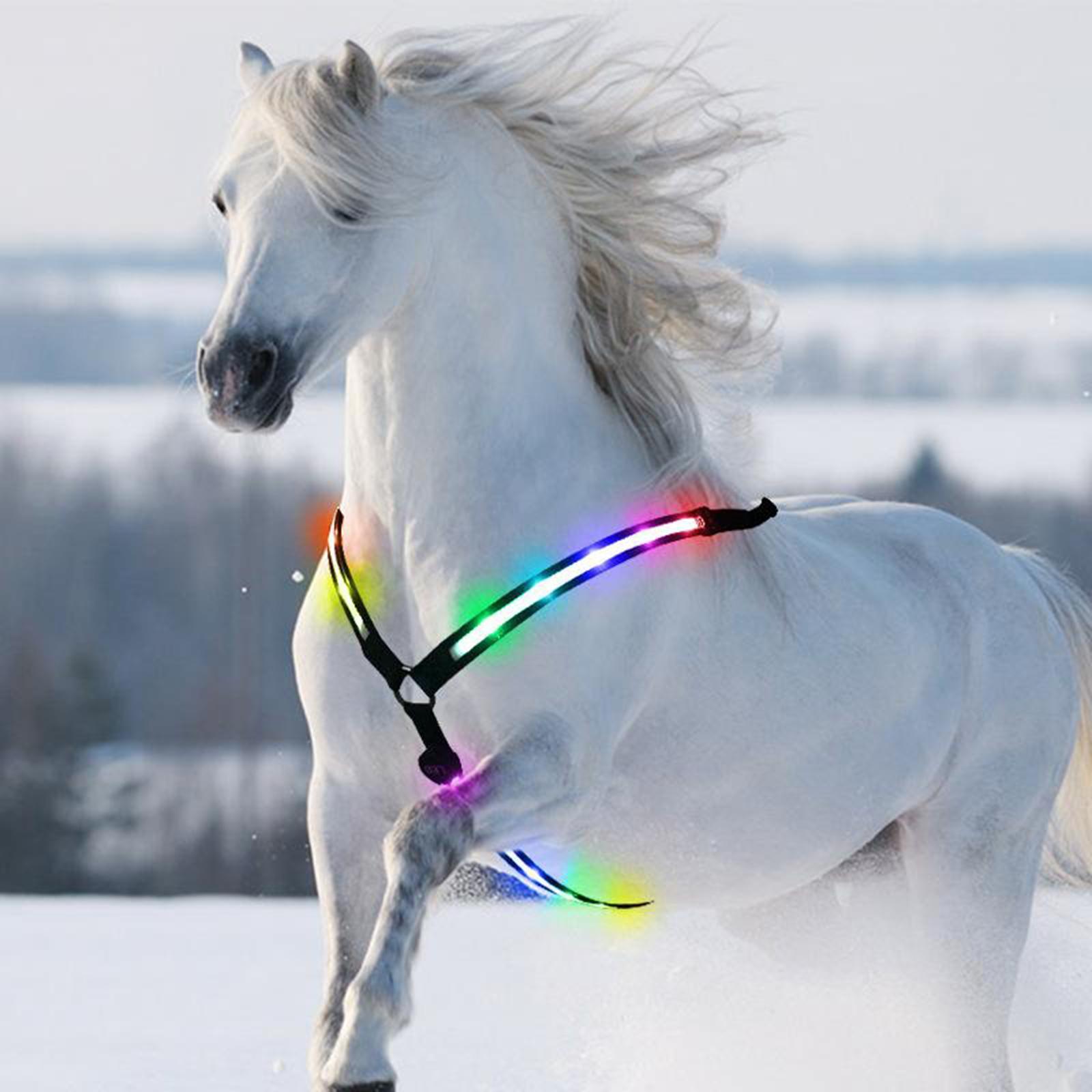 USB LED Horse Breastplate Collar Halter Chest Visibility Horse Riding Bridle