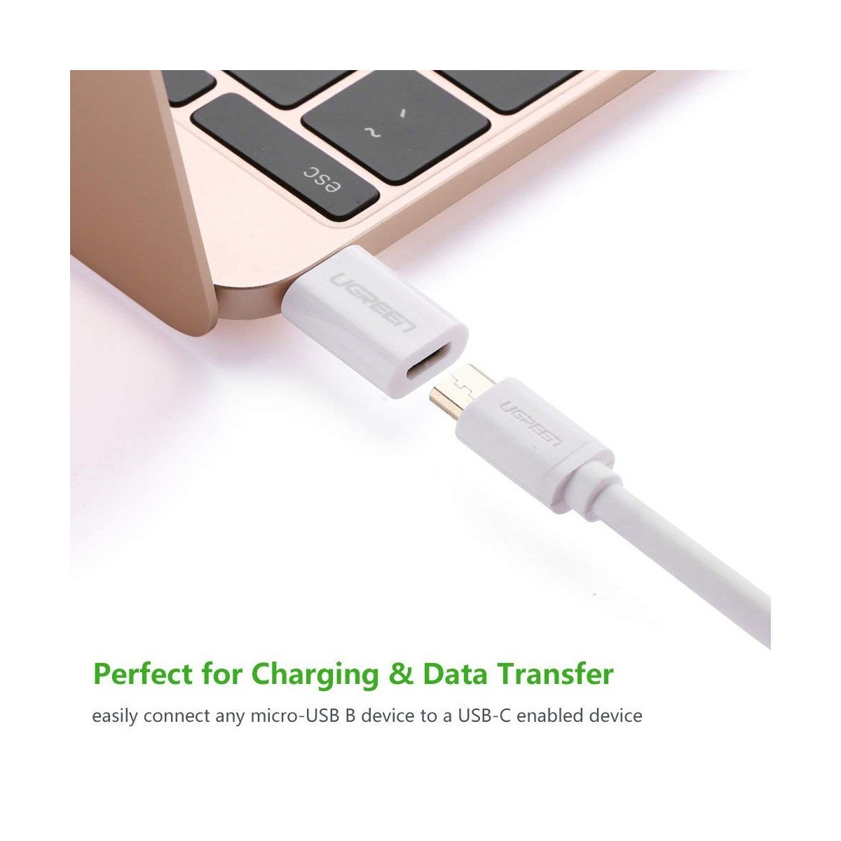 Đầu chuyển USB-C dương ra Micro USB âm UGREEN 30864 (màu trắng) - Hàng chính hãng.