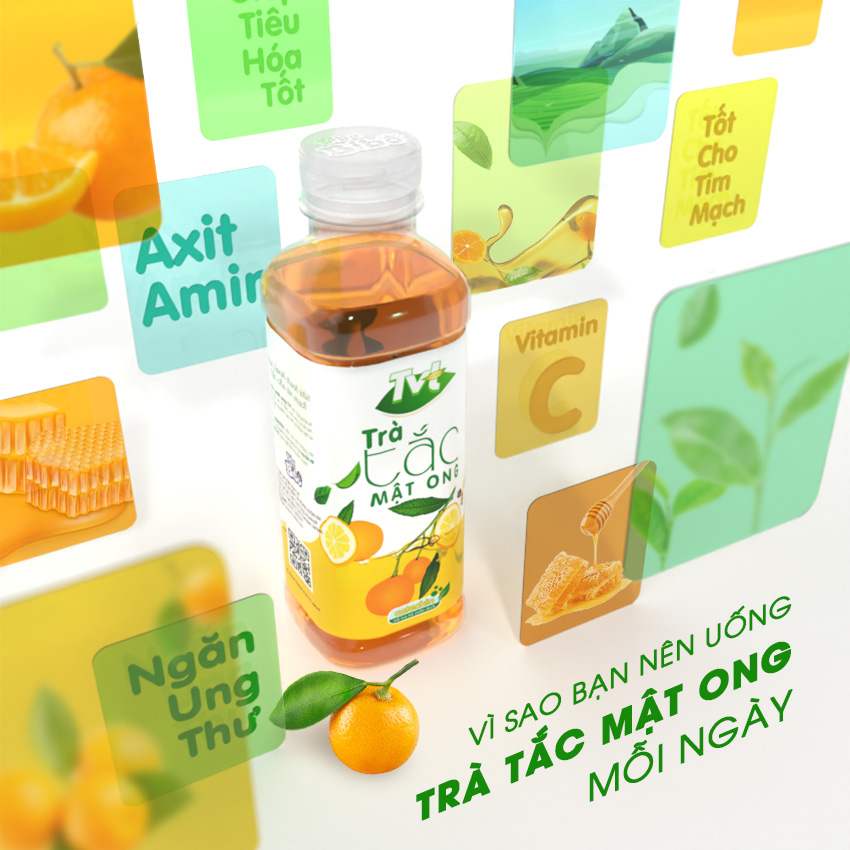 [Lốc 06 chai 450ml] Trà Tắc Mật Ong TVT tinh chất trà xanh, mật ong, quả tắc, mát lành thanh khiết, tốt cho tim mạch