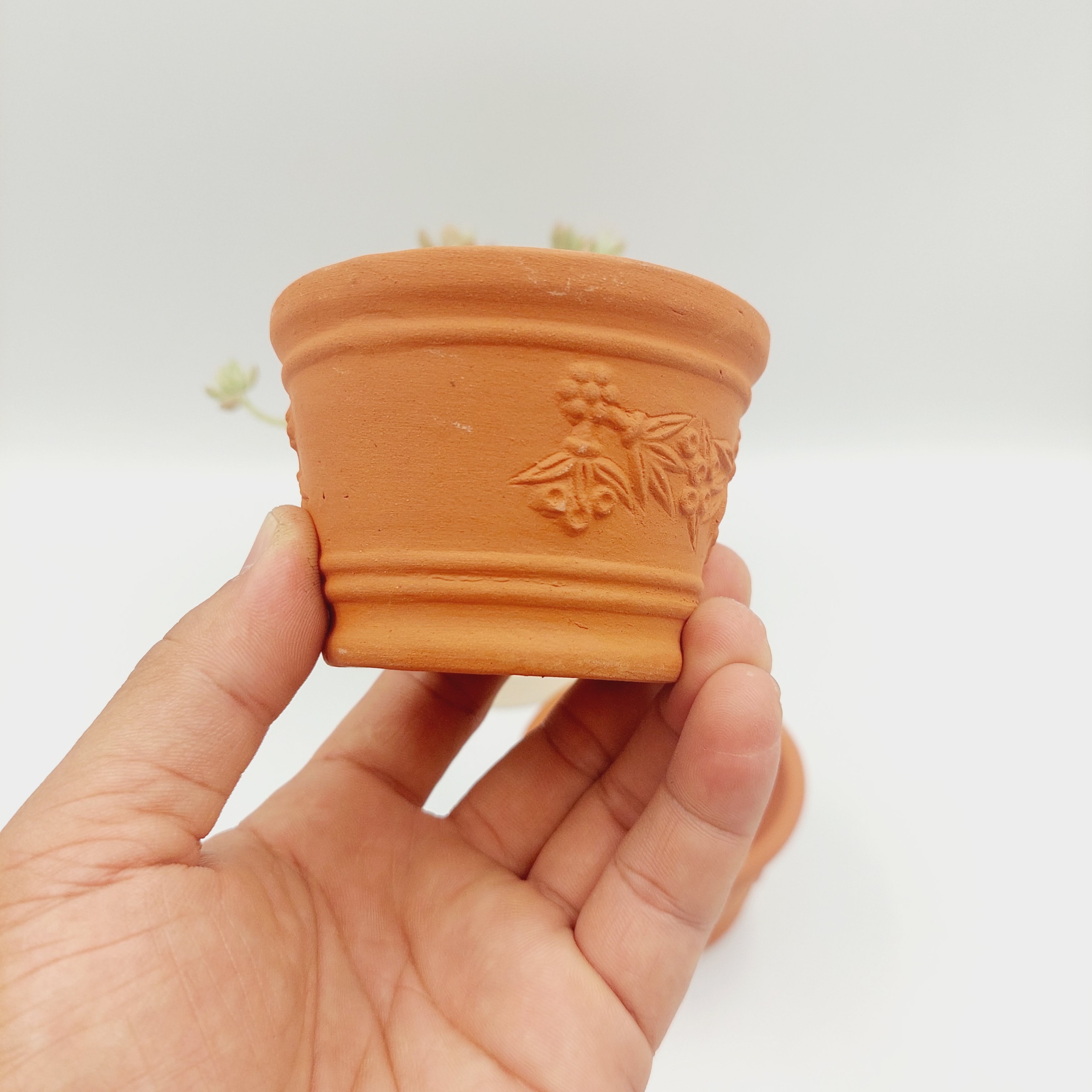 Chậu đất nung, chậu sen đá - Ly dây chùm nho 755, miệng chậu 7.5cm, chiều cao 5cm