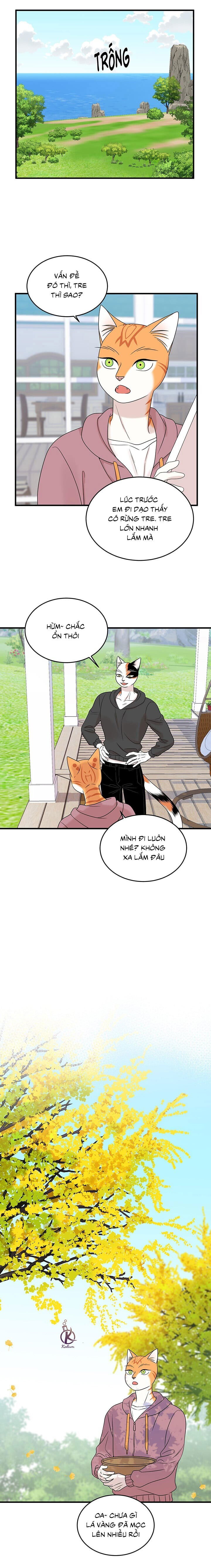 dự án xanh chapter 49 7
