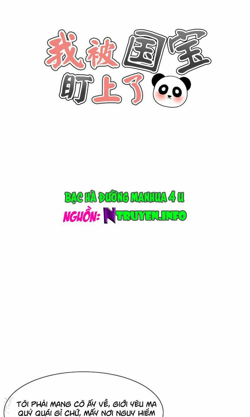 tôi bị gấu trúc nhìn trúng rồi chapter 23 1