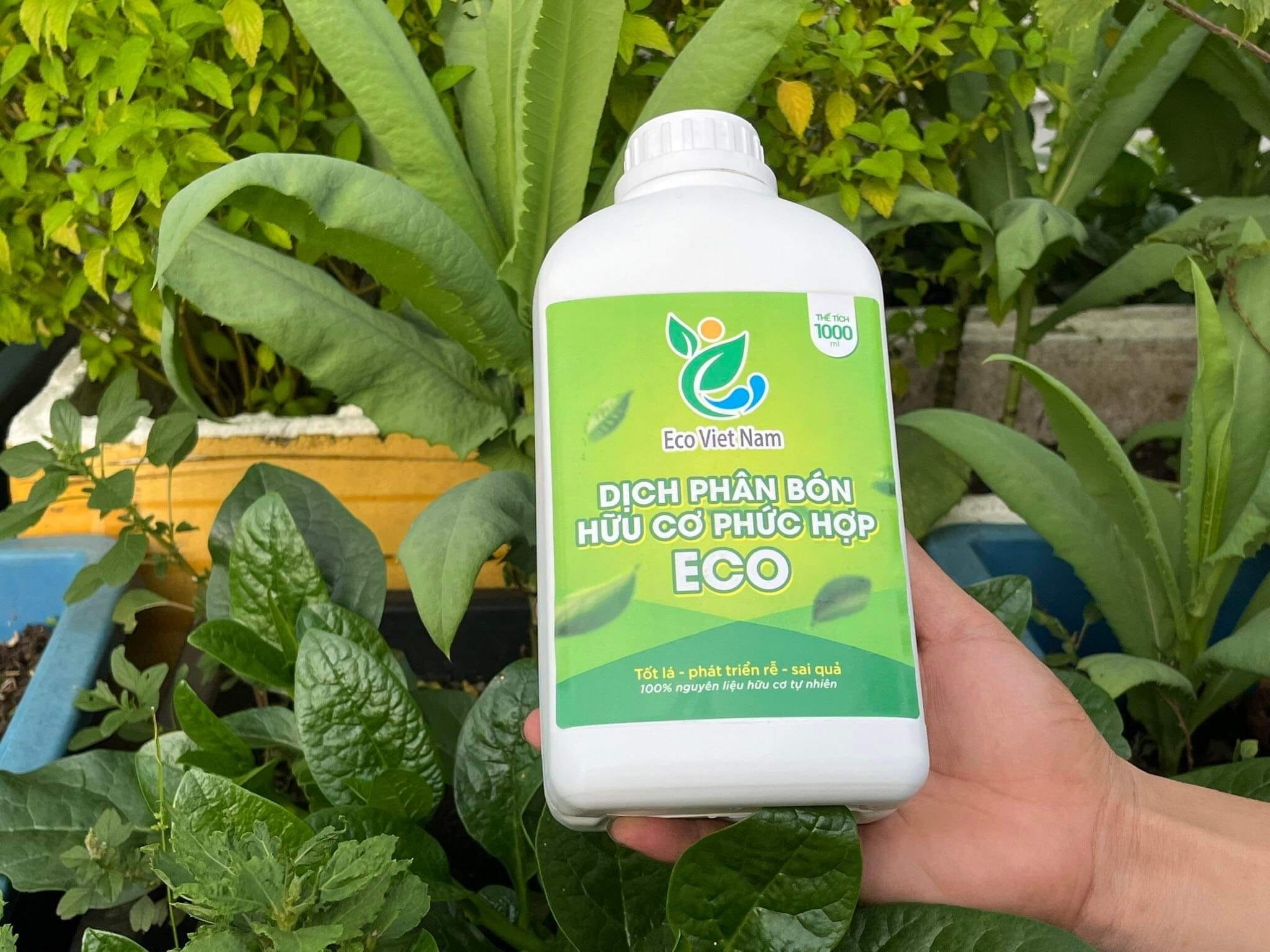 DỊCH PHÂN BÓN HỮU CƠ PHỨC HỢP ECO