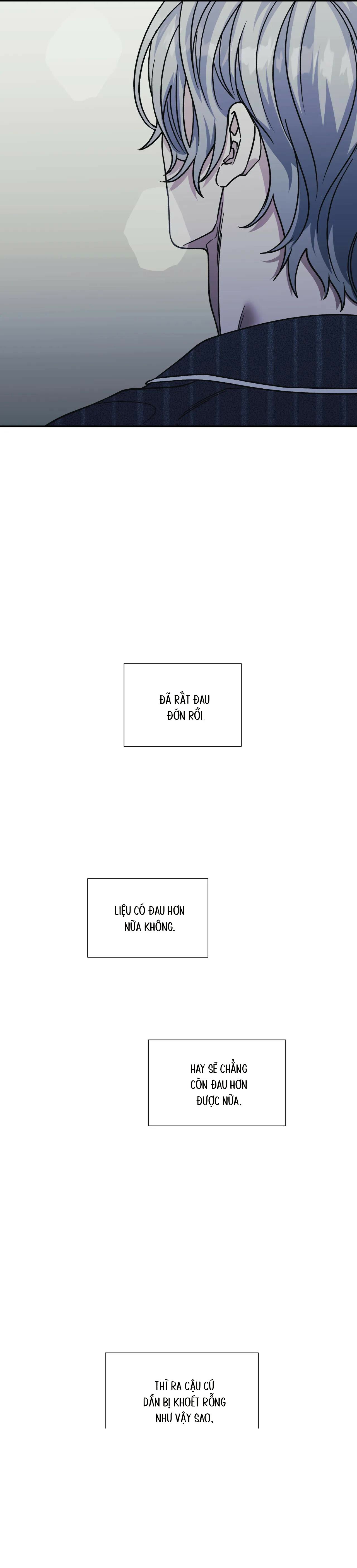 ám ảnh pheromone chapter 80 11