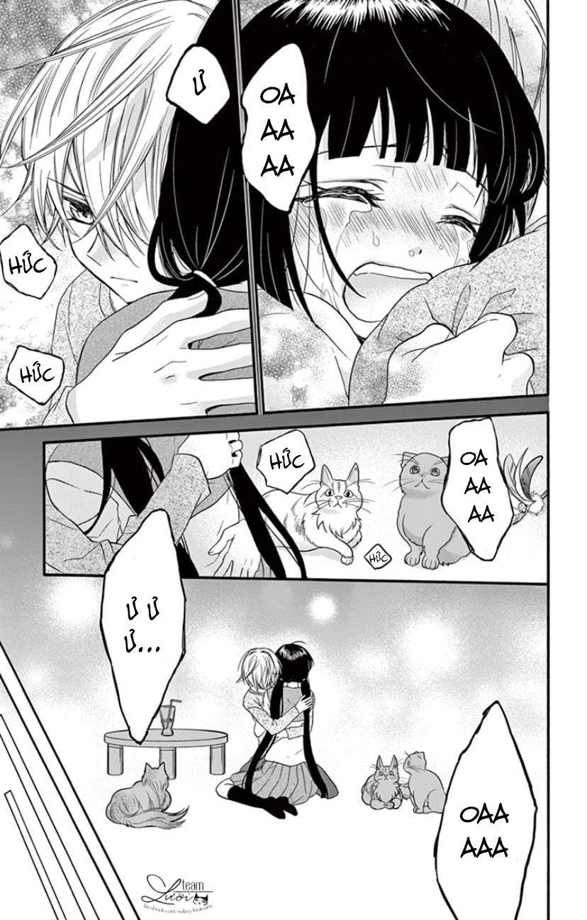 chàng rể giả nhân giả nghĩa chapter 19 22