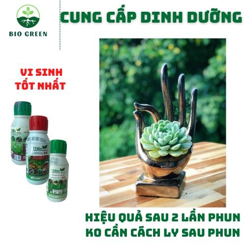 Phân bón cho sen đá,Thuốc trừ diệt sâu nấm bệnh sinh học hữu cơ TSBIO trị đốm đen,rệp sáp,thối thân lá rễ,sâu ăn thân