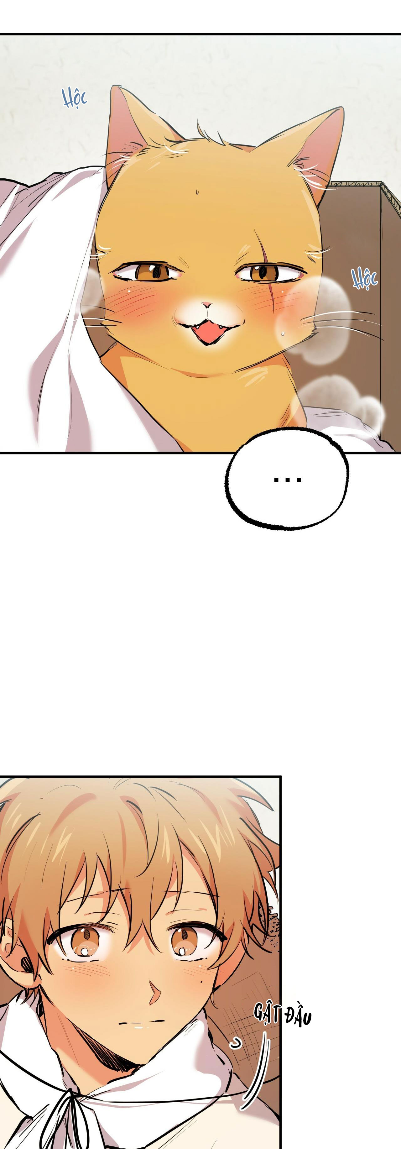 những chú thỏ của hapypy chapter 31 43