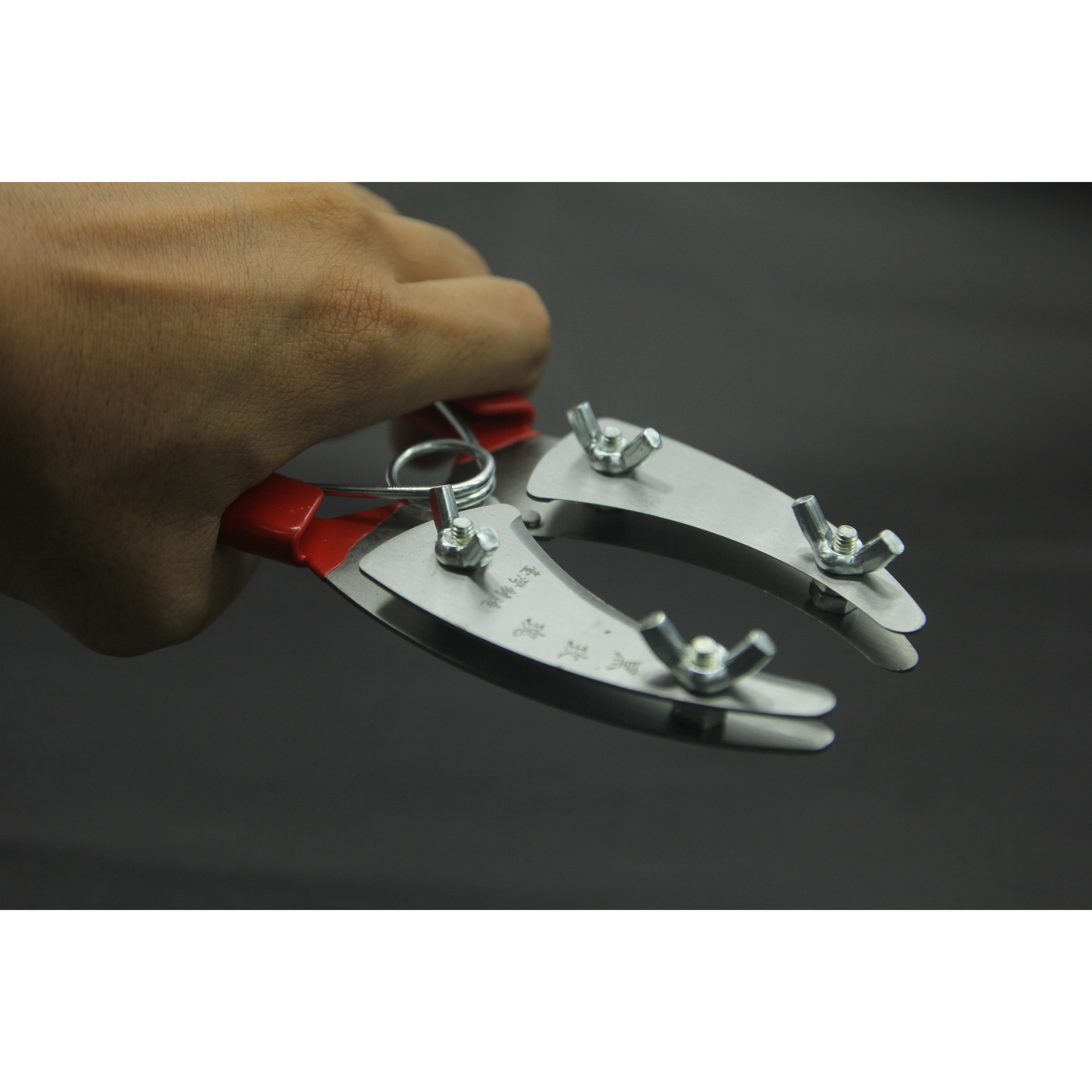 Kìm khoanh vỏ chiết cành lưỡi kép