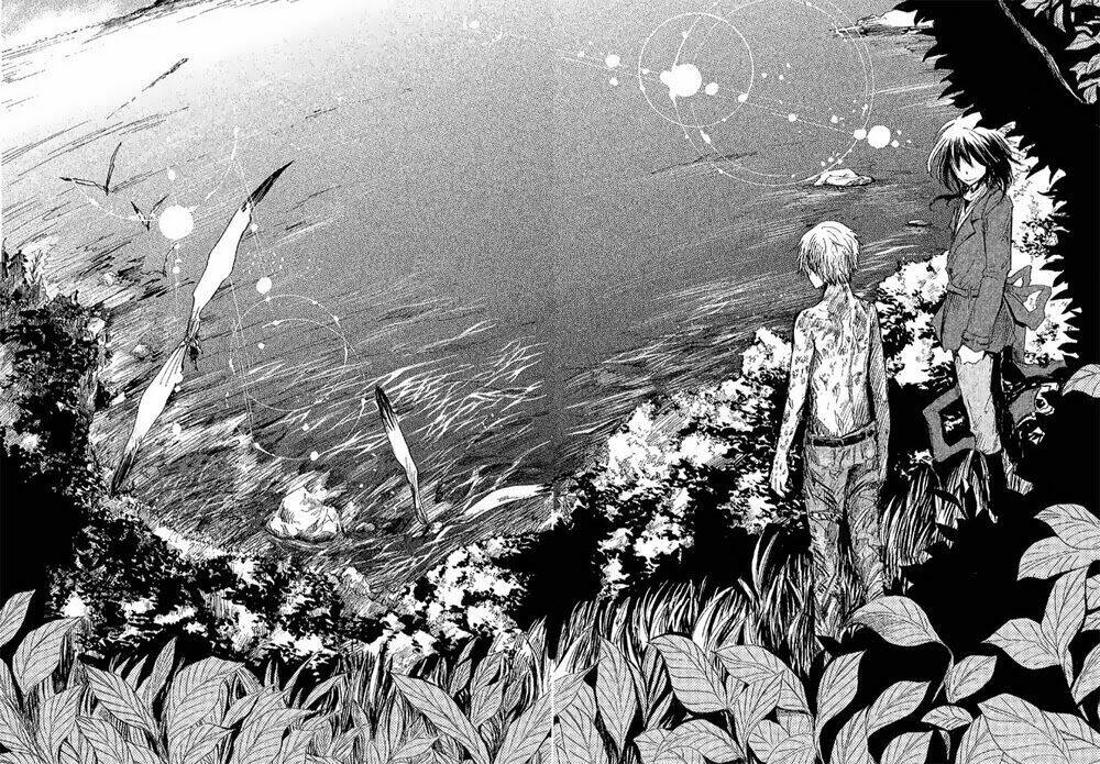 pupa chapter 14 12