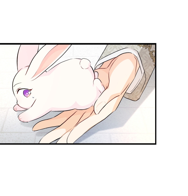 mối liên kết giữa báo đen và bé thỏ chapter 9 16